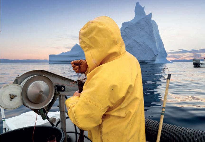Longline hauling in Greenland